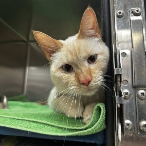 527383409_122103805646958420_1202491868820925_n-768x1024-1